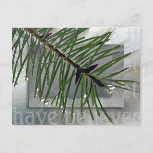 Blessed is he who has not seen postcard