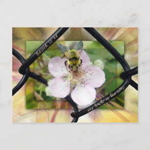 Blessed is he who trusts in the LORD Postcard