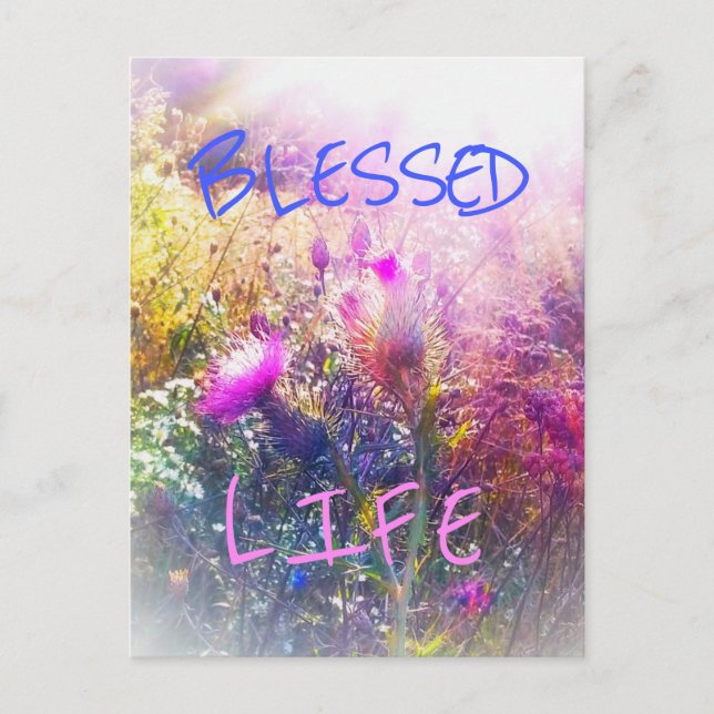 BLESSED LIFE POSTCARD (Front)