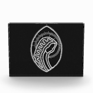 Blessed Virgin Mary in White Lace on Black Velvet Photo Block