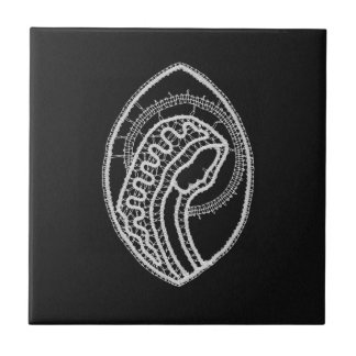 Blessed Virgin Mary in White Lace on Black Velvet Tile