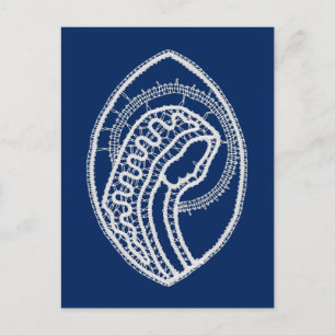 Blessed Virgin Mary, white lace, navy blue Postcard