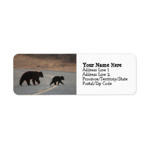 BLHI Black Bears on Highway