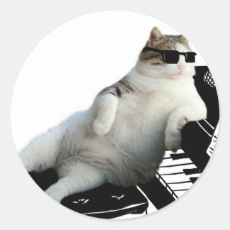 Blind cat pianist classic round sticker