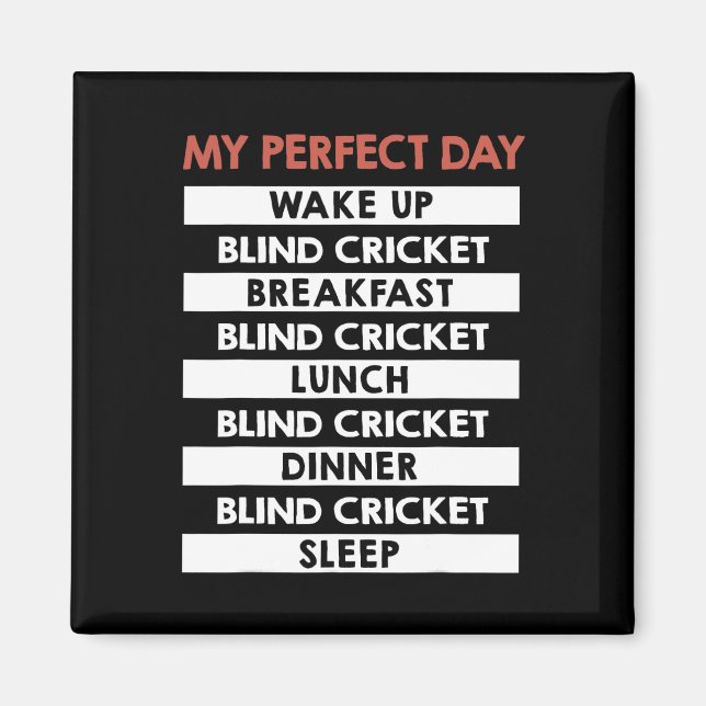 Blind Cricket My Perfect Day Player Day Routine  Magnet (Front)
