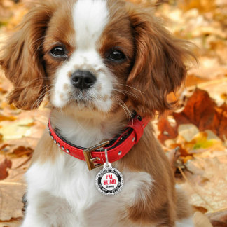 Blind Pet Medical Alert Custom Name Black Red Tag