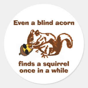 Blind Squirrel Classic Round Sticker