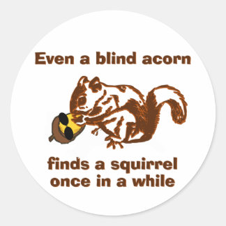 Blind Squirrel Classic Round Sticker