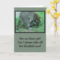 "BLINDFOLDED" RACCOON/HUMOROUS BIRTHDAY WISHES