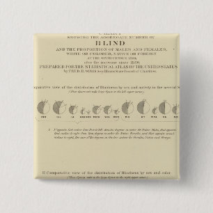 Blindness, Statistical US Lithograph 1870 15 Cm Square Badge