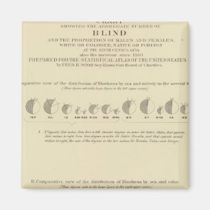 Blindness, Statistical US Lithograph 1870 Magnet