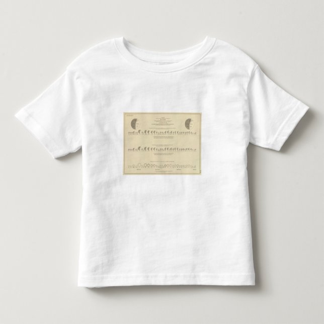Blindness, Statistical US Lithograph 1870 Toddler T-Shirt (Front)