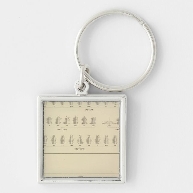 Blindness, Statistical US Lithograph Key Ring (Front)
