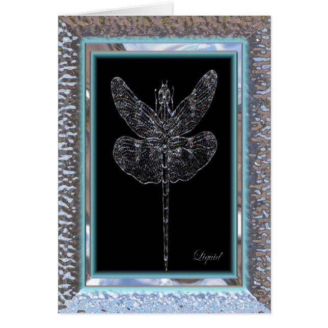 Blindsticka Dragonfly (Front)