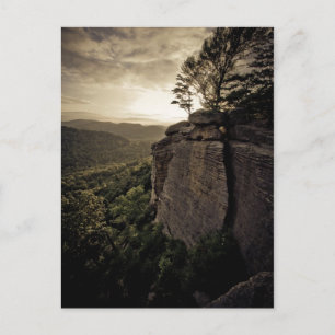 Bliss and ReUnion Postcard