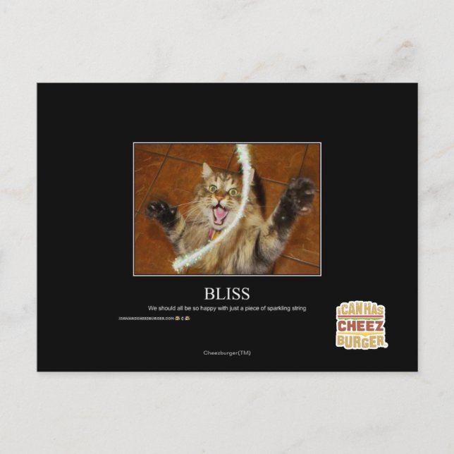 Bliss Postcard (Front)