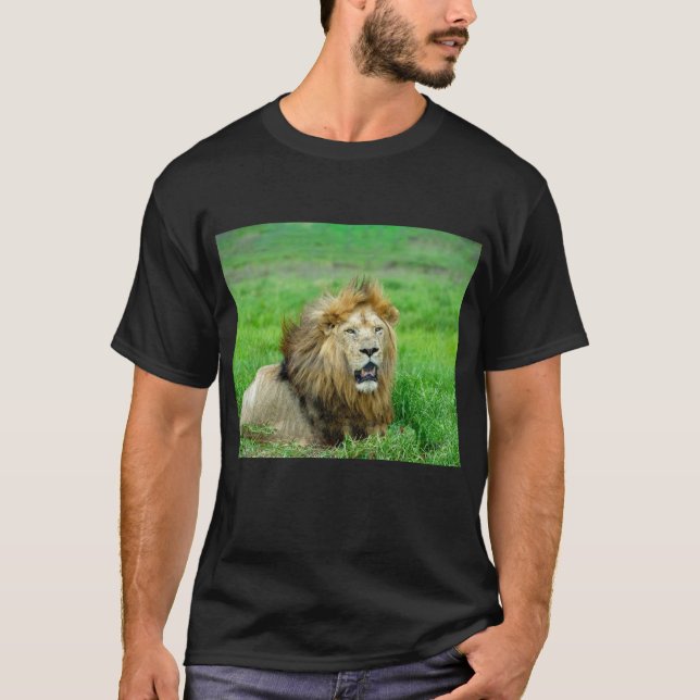 "Blissful Lion Rest Tee" T-Shirt (Front)