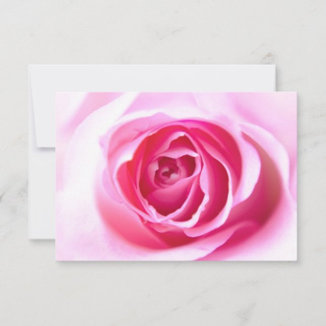 Blissful Rose (Front)