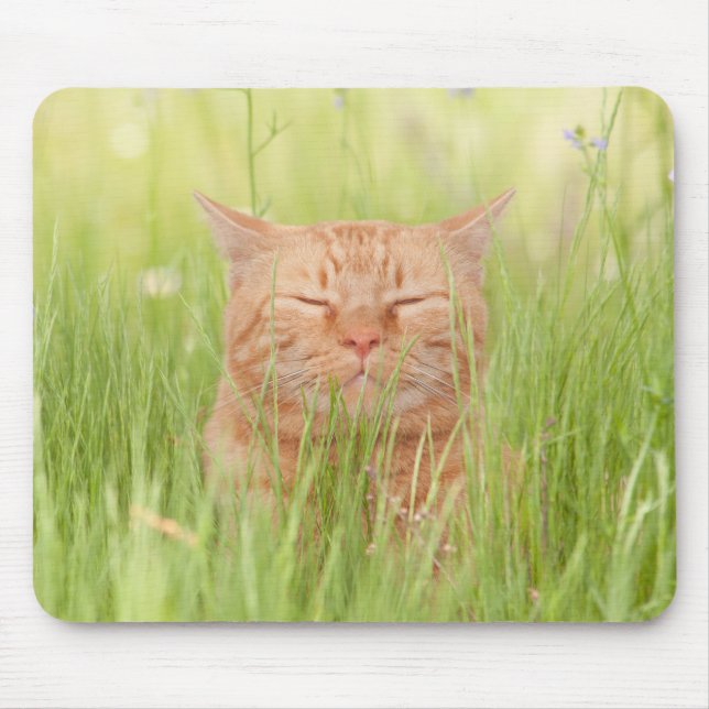 Blissfully Happy Cat Mouse Mat (Front)