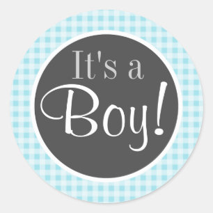 Blizzard Blue Gingham; Chequered Classic Round Sticker