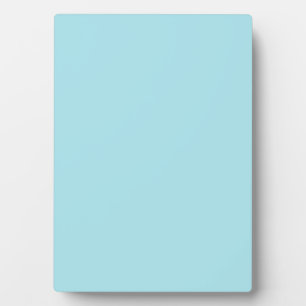 Blizzard Blue  (solid colour)   Plaque
