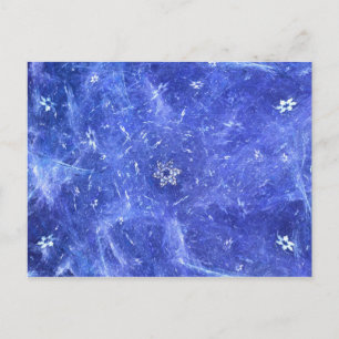 Blizzard Postcard
