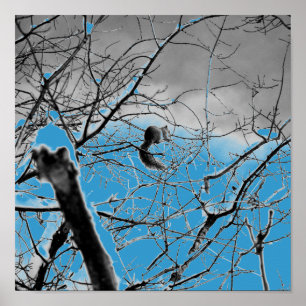 Blizzard Squirel B+W Poster