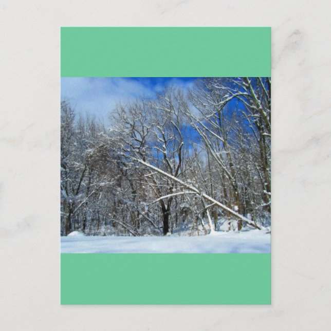 Blizzard Trees Oil Postcard (Front)