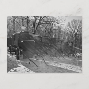 Blk & White-Buggies through rays of sun Postcard