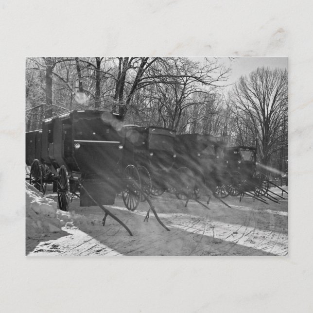Blk & White-Buggies through rays of sun Postcard (Front)