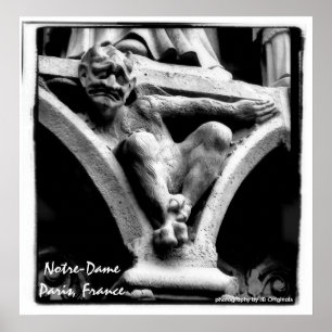 blk wht gargoyle poster Notre-Dame Paris, France