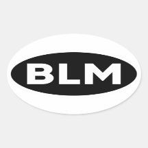 BLM - Black Lives Matter Anti Racism Bumper