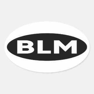 BLM - Black Lives Matter Anti Racism Bumper Oval Sticker