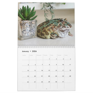 Blobbi Pacman Frog Calendar