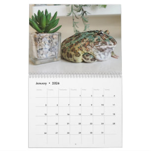 Blobbi Pacman Frog Calendar