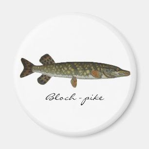 Bloch - pike magnet