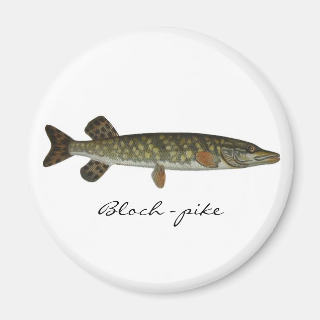 Bloch - pike magnet (Front)