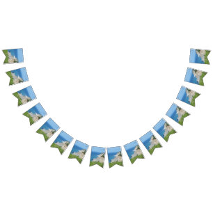Block Island Bluffs - Block Island, Rhode Island Bunting