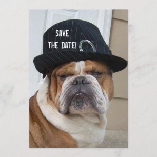 Block Party Invitations