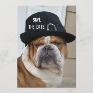 Block Party Invitations