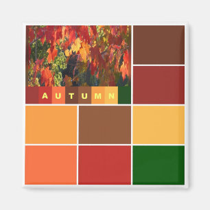 Blocks of Autumn Colours Magnet