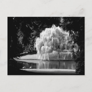 Bloedel Reserve Postcard