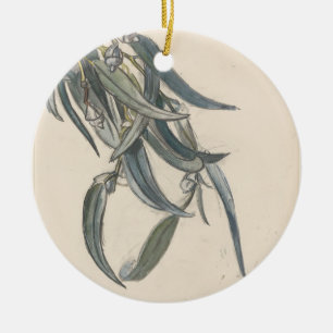 Bloeiende tak van een eucalyptus ceramic tree decoration
