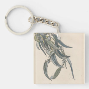 Bloeiende tak van een eucalyptus key ring
