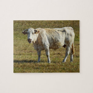 Blonde Aquitaine cow Jigsaw Puzzle