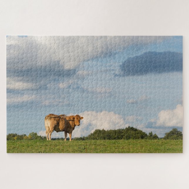 Blonde d'Aquitaine cow in Dordogne region, France Jigsaw Puzzle (Horizontal)