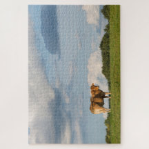 Blonde d'Aquitaine cow in Dordogne region, France