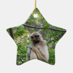 Blonde Gibbon Monkey - Hylobates lar Ceramic Tree Decoration