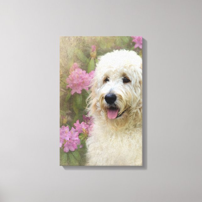 blonde goldendoodle dog in garden canvas print (Front)