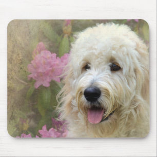 blonde goldendoodle in garden mouse mat